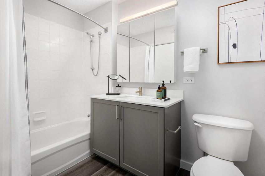 Shoreham And Tides Apartments, 360 East South Water Street, Chicago, IL